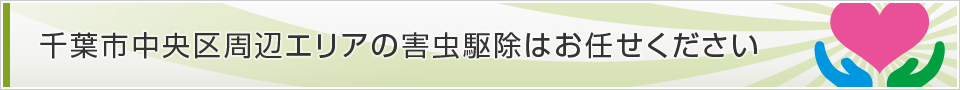 千葉県千葉市中央区
