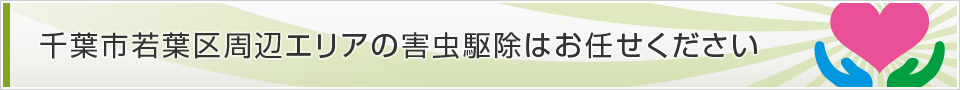 千葉県千葉市若葉区