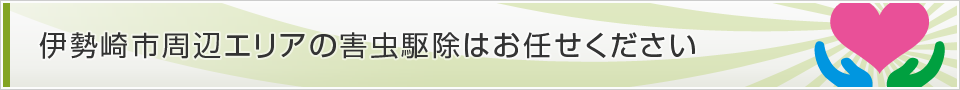 群馬県伊勢崎市