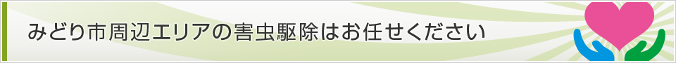 群馬県みどり市