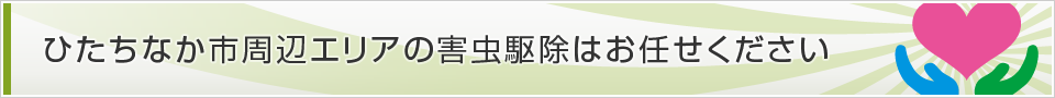 茨城県ひたちなか市