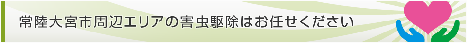 茨城県常陸大宮市