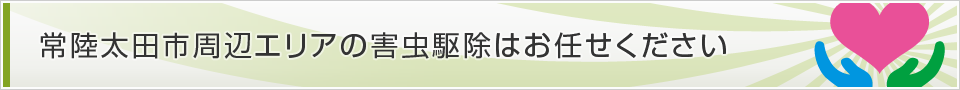 茨城県常陸太田市