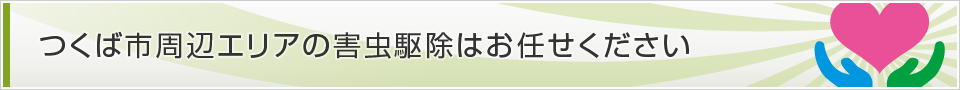 茨城県つくば市