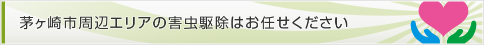 神奈川県茅ヶ崎市