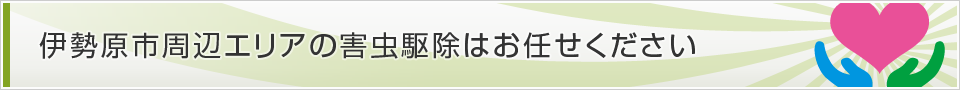 神奈川県伊勢原市