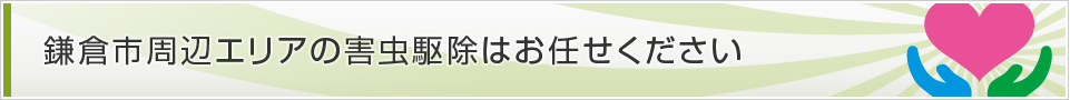 神奈川県鎌倉市
