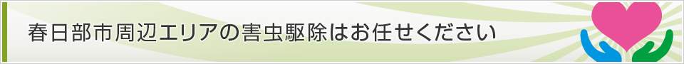 埼玉県春日部市