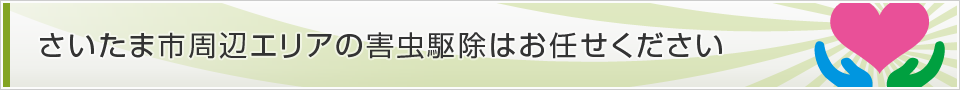 埼玉県さいたま市