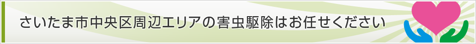 埼玉県さいたま市中央区