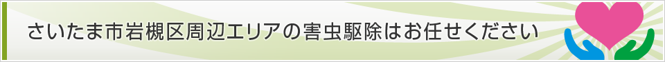 埼玉県さいたま市岩槻区