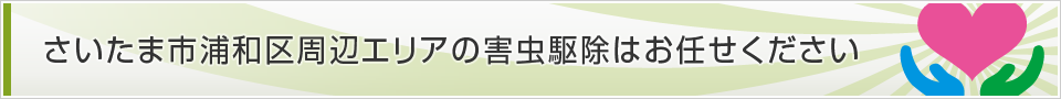 埼玉県さいたま市浦和区