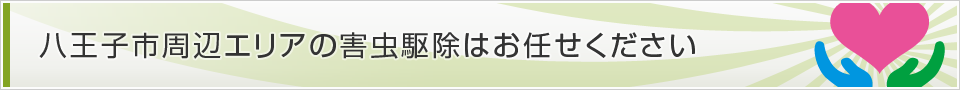 東京都八王子市