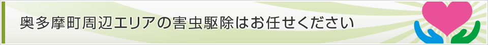 東京都奥多摩町