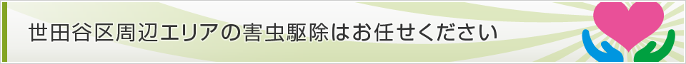 東京都世田谷区