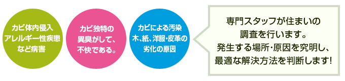 専門スタッフが住まいの調査を行います。発生する場所・原因を究明し、最適な解決方法を判断します！