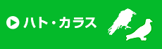 ハト・カラス防除