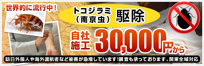 世界的に流行中のトコジラミ（南京虫）駆除 関東全域 自社施工 30,000円から 
訪日外国人や海外渡航者など被害が急増しています!調査も承っております