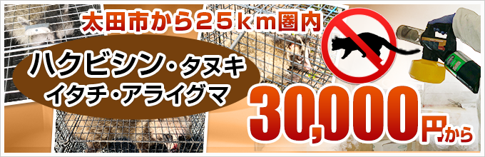 太田市から25km圏内
ハクビシン・タヌキ・イタチ・アライグマでお悩み・お困りの方へ
30,000円から