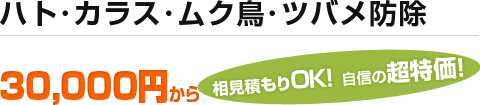 ハト･カラス･ムク鳥･ツバメ防除 30,000円から。相見積もりOK!自信の超特価!