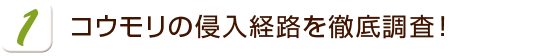 コウモリの侵入経路を徹底調査！