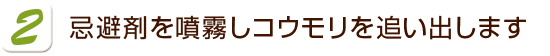 忌避剤を噴霧しコウモリを追い出します