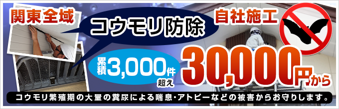 関東全域 自社施工 コウモリ防除。累積3,000件超え。30,000円から。
コウモリ繁殖期の大量の糞尿による喘息・アトピーなどの被害からお守りします。