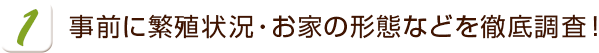 事前に繁殖状況・お家の形態などを徹底調査！