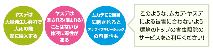 このような、ムカデ・ヤスデによる被害に合わないよう環境のトップの害虫駆除のサービスをご利用ください！