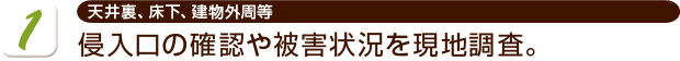 侵入口の確認や被害状況を現地調査。