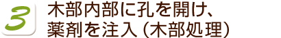 木部内部に孔を開け、薬剤を注入（木部処理）