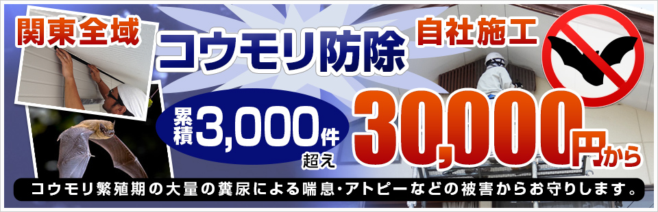 市 群馬 県 コロナ 太田