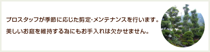 プロスタッフが季節に応じた剪定・メンテナンスを行います。美しいお庭を維持する為にもお手入れは欠かせません。