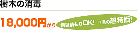 樹木の消毒 18,000円から。相見積もりOK！自信の超特価！